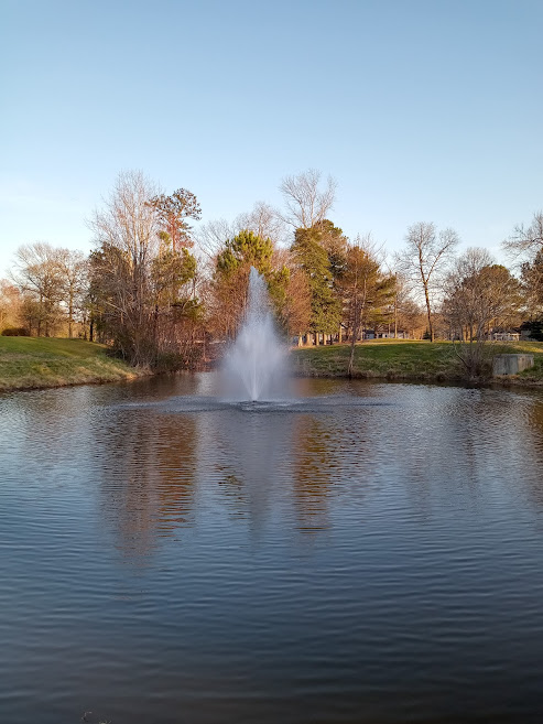 Daily encouraging Bible verses--illustration--spring