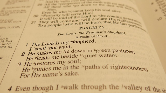 Themes of the Psalms--Psalm 23 Themes of the Psalms--Psalm 23